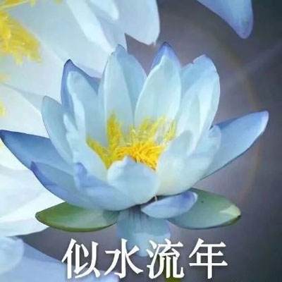 今天敢持刀闯中国使馆 明天呢